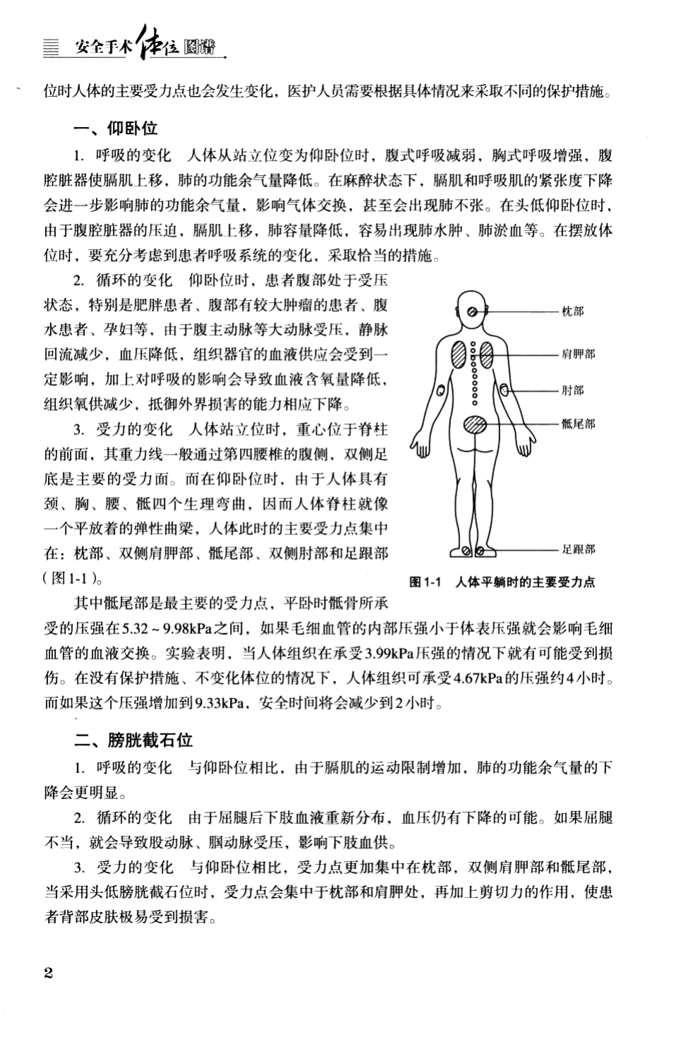Pressure-point map of the supine patient: occiput, scapulae, elbows, sacrum, heels.