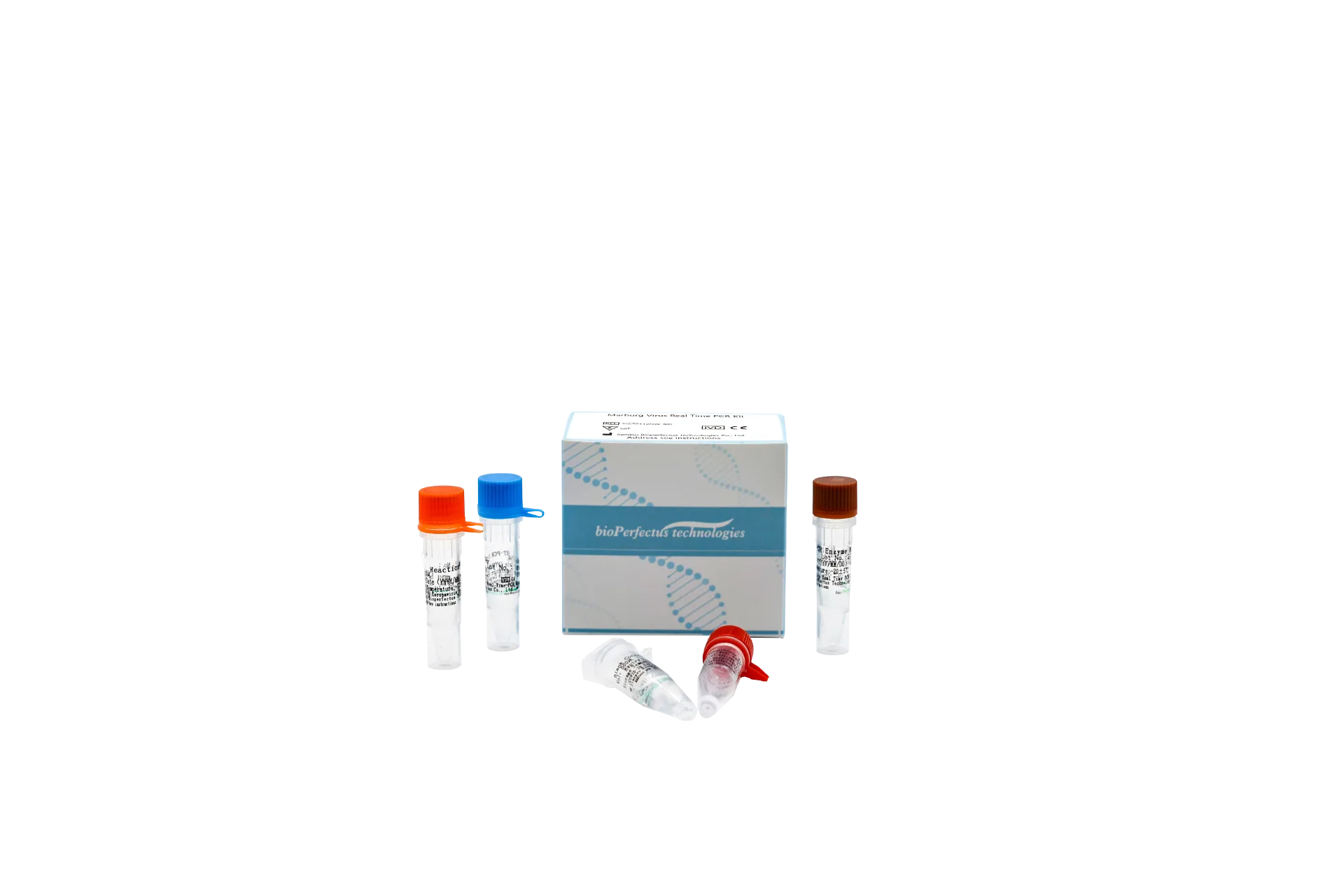 Marburg Virus Real-Time PCR Kit