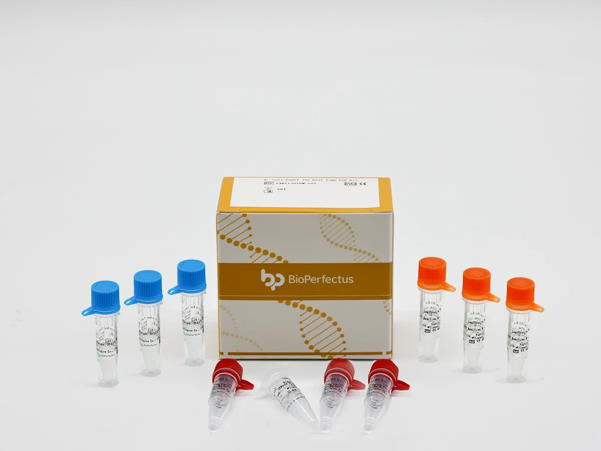 E. coli Pathotyping (5) Real-Time PCR Kit