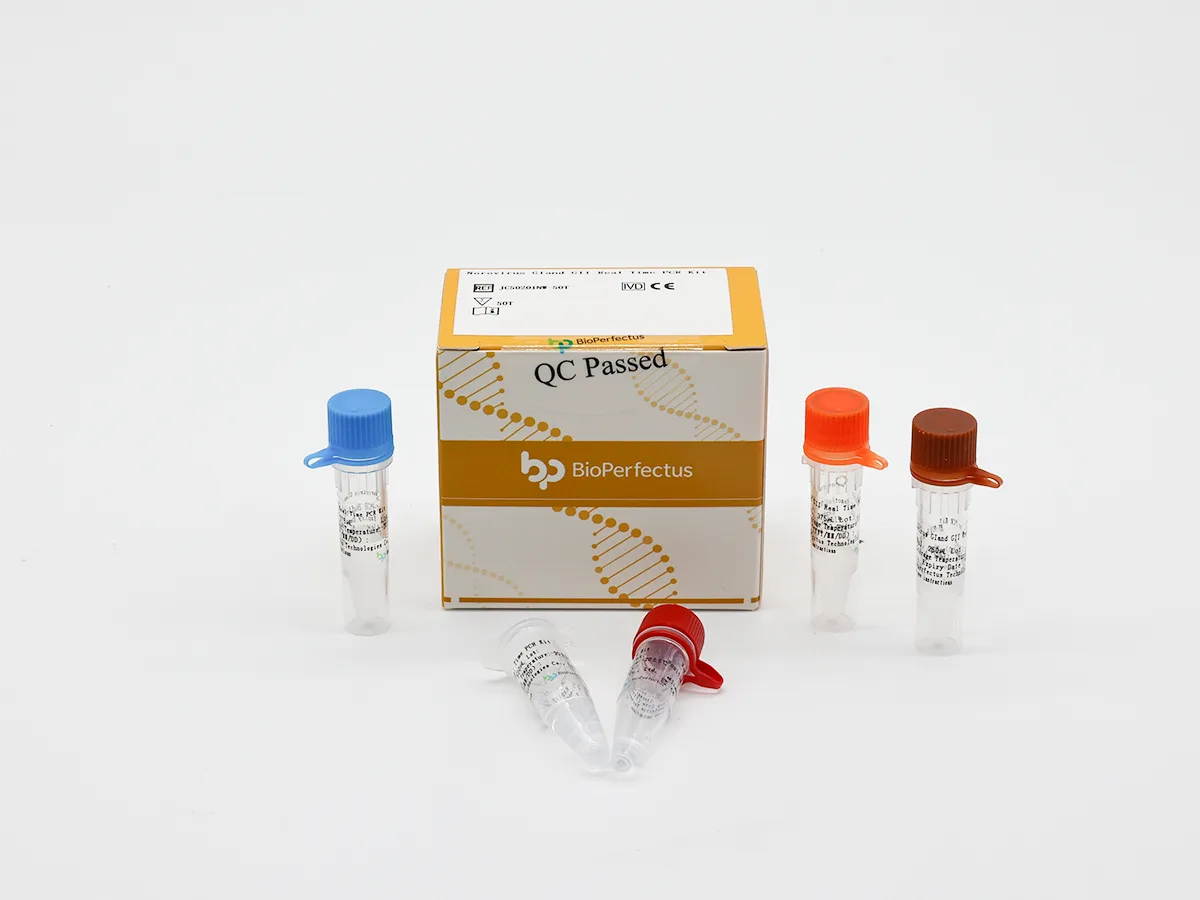 Norovirus GI and GII Real-Time PCR Kit