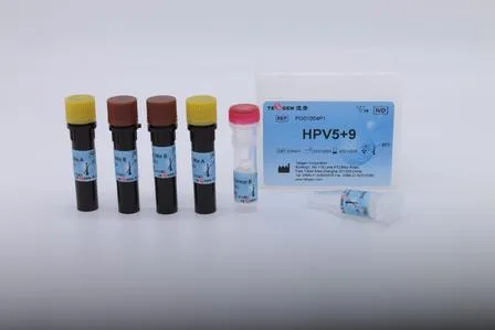 HPV 5+9 High-Risk Human Papillomavirus Genotyping Kit (Real-time PCR)